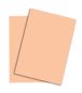 Preview: Papyrus rainbow papier fsc a3 88042500 80g, lachs 500 blatt - Papyrus-88042500-7318761038150