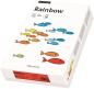 Preview: Papyrus rainbow papier fsc a4 88042718 mittelblau, 80g 500 blatt - Papyrus-88042718-7318761040498-02.jpg