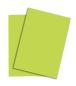 Preview: Papyrus rainbow papier fsc a4 88043138 leuchtend grün, 160g 250 blatt - Papyrus-88043138-7318761044304