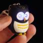 Preview: Roost schlüsselanhänger eule owl24 led, assortiert - Roost-owl24-5055071685910-03.jpg