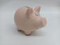 Preview: Roost sparkasse schwein tg9080-7.5 18.5x14.3x15.5cm - Roost-tg9080-75-7612532057860