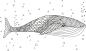 Preview: Securit fensterschablone windoodle wd-3a3-an a3 animals 3 stück - Securit-wd-3a3-an-8719075284438-05.jpg