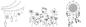Preview: Securit fensterschablone windoodle wd-3a3-hm a3 home 3 stück - Securit-wd-3a3-hm-8719075284476-02.jpg