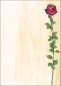 Preview: Sigel designpapier a4 dp695 rose bloom, 90g 25 blatt - Sigel-dp695-4004360966620