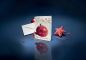 Preview: SIGEL Weihnachts-Karte/Couvert A6/A5 DS060 220+100g 10+10 Stück