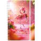 Preview: Simplex schüleragenda emotions 25/26 500221.26 1w/2s 17m flaminga ml 8x12.5cm - Simplex-50022126-7611468040267