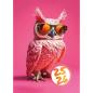 Preview: Simplex schüleragenda feelings 25/26 500301.26 1t/1s 12m owl ml 12x16.5cm - Simplex-50030126-7611468040373