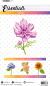 Preview: Sizzix maske 15x21x0.1cm mask123 blume - Sizzix-mask123-8713943135662-02.jpg