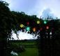 Preview: Star trading solar lichterkette festival 12.477-14 led 2,7m - Star-trading-12.477-14-7391482477149-02.jpg
