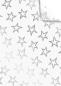 Preview: Stewo seidenpapier miro 2511539575 silber 50x70cm - Stewo-2511539575-7630050876183
