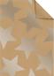 Preview: Stewo geschenkpapier giada 2512526175 silber 50x70cm - Stewo-2512526175-7630050876428