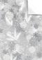 Preview: Stewo geschenkpapier aiden 2514526275 silber 70x100cm - Stewo-2514526275-7630050876336