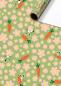 Preview: Stewo geschenkpapier lotti 2528519646 grün hell 70x200cm - Stewo-2528519646-7630050884485