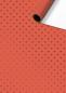 Preview: Stewo geschenkpapier zisa 2528533721 hell 70x150cm - Stewo-2528533721-7630050870303