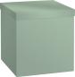 Preview: Stewo geschenkbox uni pure 2551516097 salbei 23x23x24cm - Stewo-2551516097-7630050885802