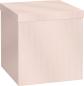 Preview: Stewo geschenkbox paro 2551996597 rosa hell 23x23x24cm - Stewo-2551996597-7630050885871