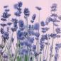 Preview: Stewo serviette violet 2572541030 violett 33x33cm - Stewo-2572541030-7630050860410