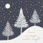 Preview: Stewo serviette hiver 33x33cm 2572549870 schwarz 20 stück - Stewo-2572549870-7630050851708
