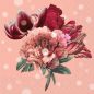 Preview: Stewo serviette lenora 33x33cm 2572605625 rosa 20 stück - Stewo-2572605625-7630050821060