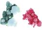 Preview: Transotype synthetic papier a4 25410 158g, weiss 10 blatt - Transotype-25410-4013695264936-03.jpg