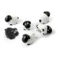 Preview: Trendform magnete sheep fa3737 6er set assortiert - Trendform-fa3737-7640161861855