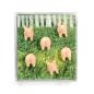Preview: Trendform magnete piggy fa4593 6er set assortiert - Trendform-fa4593-7640169364044-02.jpg