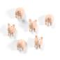 Preview: Trendform magnete piggy fa4593 6er set assortiert - Trendform-fa4593-7640169364044