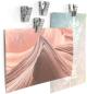 Preview: Trendform magnet-clip clipper gk8017 4 stk. 25mm, chrom - Trendform-gk8017-7640111239543-03.jpg