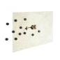 Preview: Trendform magnete steely tf25b 10er set schwarz - Trendform-tf25b-7640111232032-03.jpg