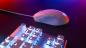 Preview: Turtle beach pure sel tbm-1001-15 gaming mouse, white - Turtle-beach-tbm-1001-15-0731855710010-05.jpg