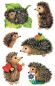 Preview: Z-design sticker kids 4306 igel 3 stück - Z-design-4306-4004182043066