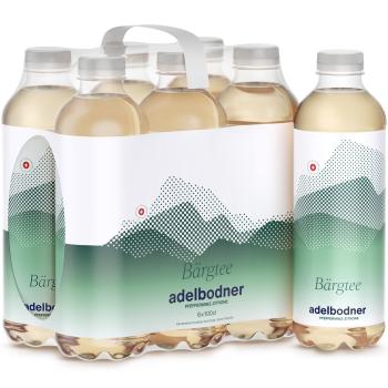 ADELBODNER Bärgtee Minze 162154 100 cl, 6 Stk.