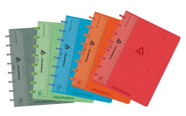 ADOC Ringbuch LIN-EX A5 3884.74 assortiert, kariert 144 Seiten