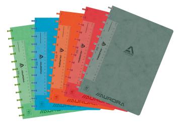 ADOC Ringbuch LIN-EX A4 6845.742 assortiert, kariert 144 Seiten