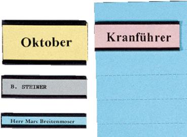 BEREC Magnetetikettenträger 10x60mm ET 16/20 U-Profil 20 Stück