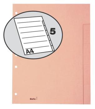 Biella kartonregister a4 19640500u braun blanko 5-teilig - Biella-19640500u-7611365209224-02.jpg