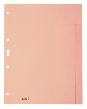 Biella kartonregister a4 19640500u braun blanko 5-teilig - Biella-19640500u-7611365209224-04.jpg