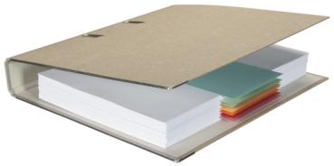 Biella trennstreifen karton 2 loch 19919001u weiss, 24x10.5cm 100 stk. - Biella-19919001u-7611365357376-03.jpg