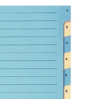 Biella kartonregister 210g a4 46244100u blau/gelb 1-12 - Biella-46244100u-7611365231492-02.jpg