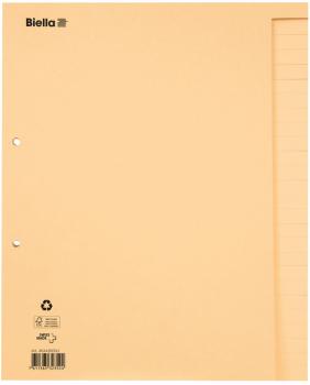 Biella bauabrechnungsregister a4 46442600u braun blanko 26-teilig - Biella-46442600u-7611365323524-02.jpg