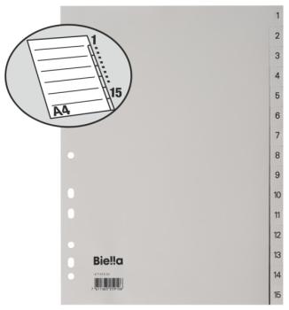 Biella register pp a4 47141500u grau 1-15 - Biella-47141500u-7611365259106-02.jpg