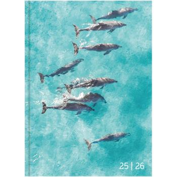 Biella schüleragenda animal 25/26 806544830026u 1t/1s 12x16.5cm - Biella-806544830026u-7611365522835