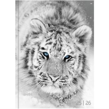 Biella schüleragenda blackwhite 25/26 806544860026u 1t/1s 12x16.5cm - Biella-806544860026u-7611365522828