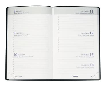 Brepols schüleragenda rainbow 25/26 2.037.5385 1w/2s 12m ass. ml 9x16cm - Brepols-2.037.5385-5412303371339-02.jpg