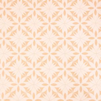 Clairefontaine tiny rolls kraft weisse blume 223830c 70g, 5x0.35m - Clairefontaine-223830c-3329682238301-02.jpg