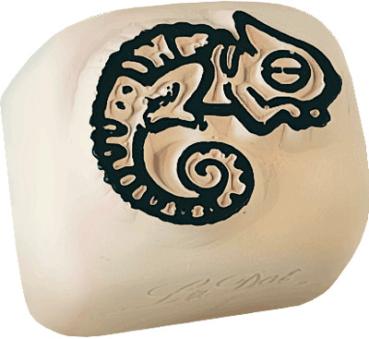 Colop ladot stein small 167843 chameleon - Colop-167843-8718503971599-03.jpg