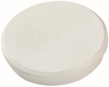 DAHLE Magnete 95532-21400 10 Stk. 32mm weiss