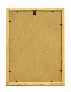 Debex wechselrahmen 40x50cm 6306.01 40x5 kiefer, weiss strukt. - Debex-6306.01-40x5-7611195360256-02.jpg