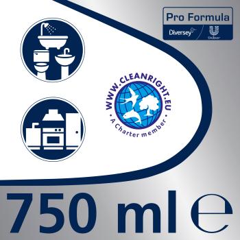 Domestos fugenreiniger porfess. 750ml 7518293 - Domestos-7518293-7615400111794-03.jpg