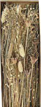 Eglo trockenblume 60cm 428038 beige - Eglo-428038-9008606258635-02.jpg